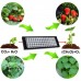 Фито лампа для растений BlackMix LED Plants Grow 45-100, 75 диодов, 45 Вт