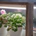Фито лампа для растений с подставкой из бука BlackMix "Эко", 7 Вт