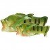Тапочки шлепанцы в форме рыбы Fish Slippers Green