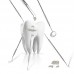 Набор стоматологических инструментов TDC, 6 предметов в футляре